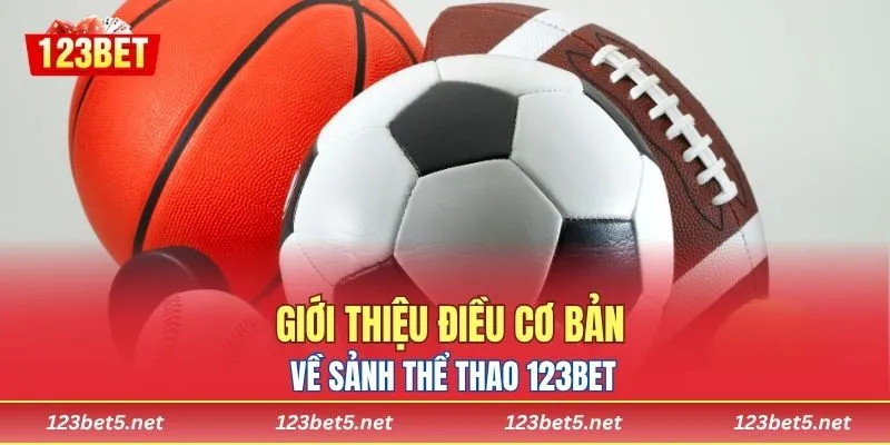 Giới thiệu điều cơ bản về sảnh thể thao 123BET