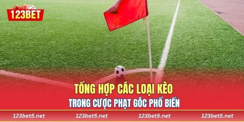 Tổng hợp các loại kèo trong cược phạt góc phổ biến